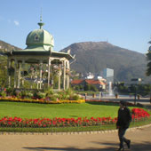 Foto: Malereiperformance im Stadtpark von Bergen 2